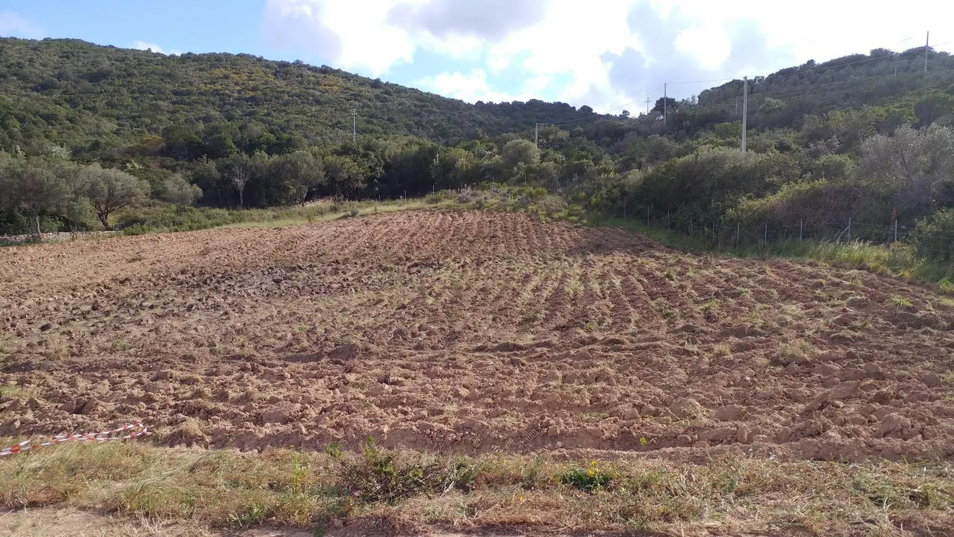 Farm stay Agriturismo Agrisole Olbia