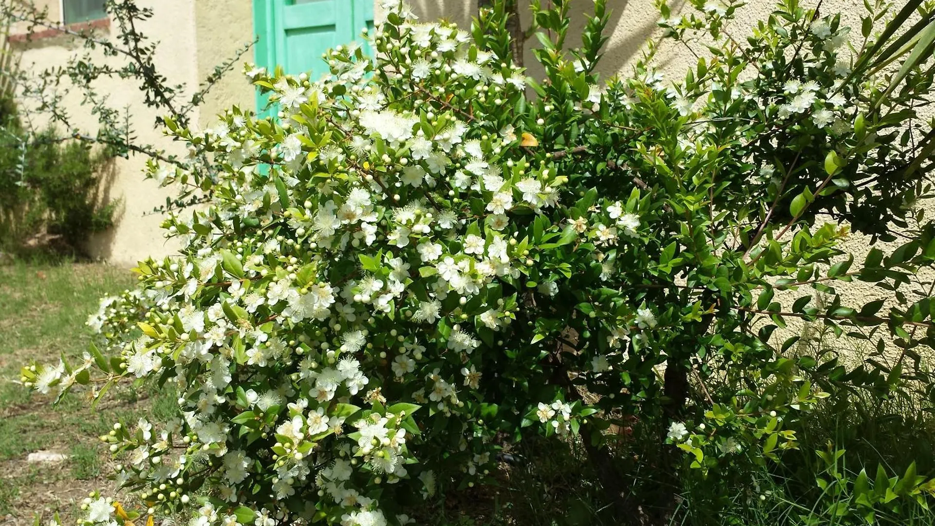 Farm stay Agriturismo Agrisole Olbia