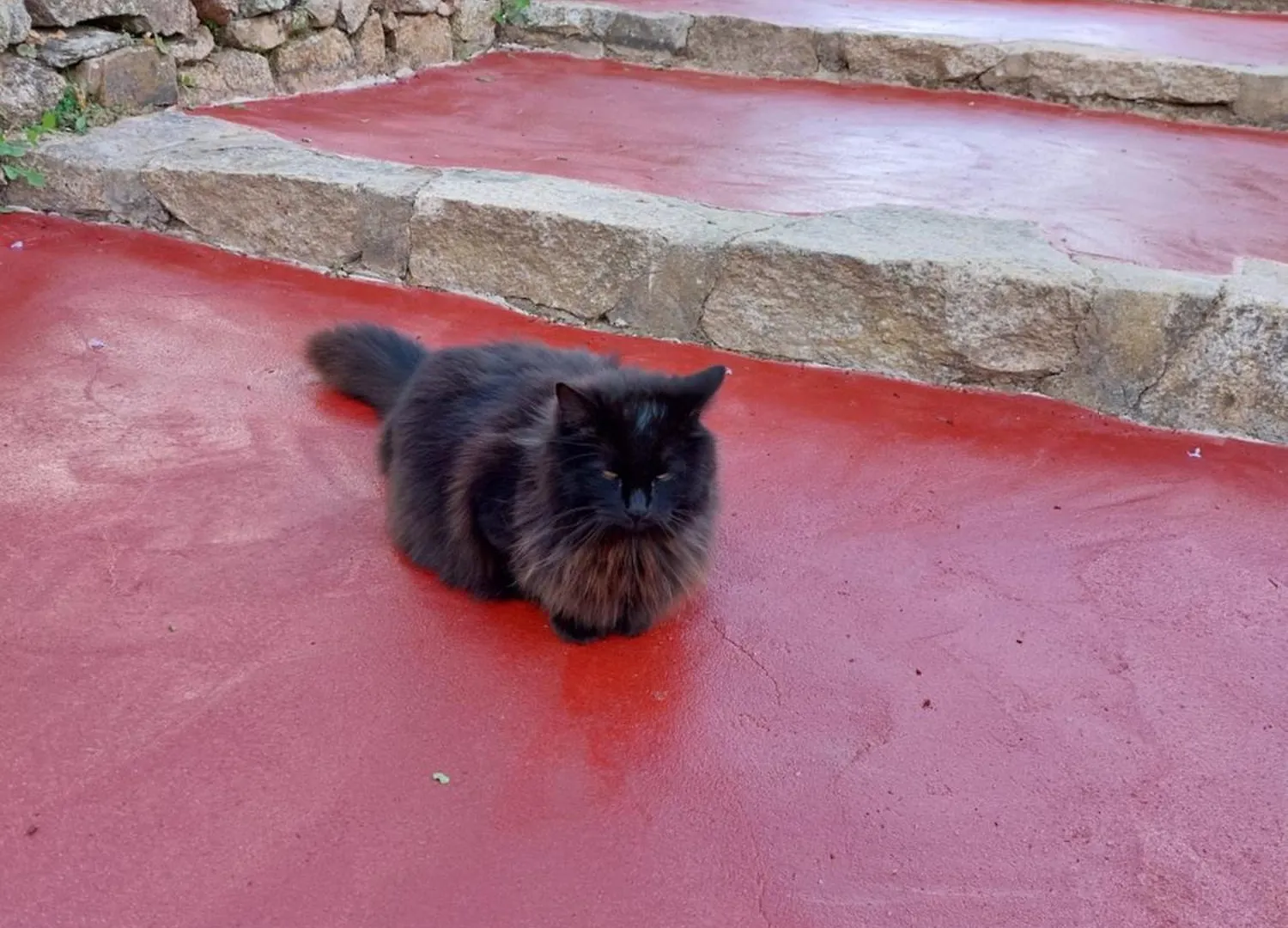 Agriturismo Agrisole Olbia Italy