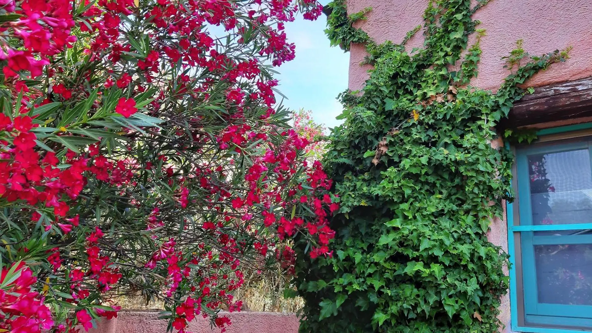 Agriturismo Agrisole Olbia 0*,